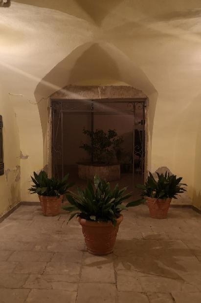 Les Maisons Coco Trani Eksteriør billede